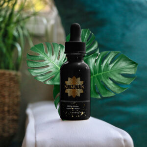 CBD X Jojoba Blend Hydro Serum 500mg 50ml