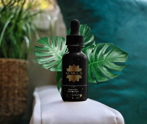 CBD X Jojoba Blend Hydro Serum 500mg 50ml